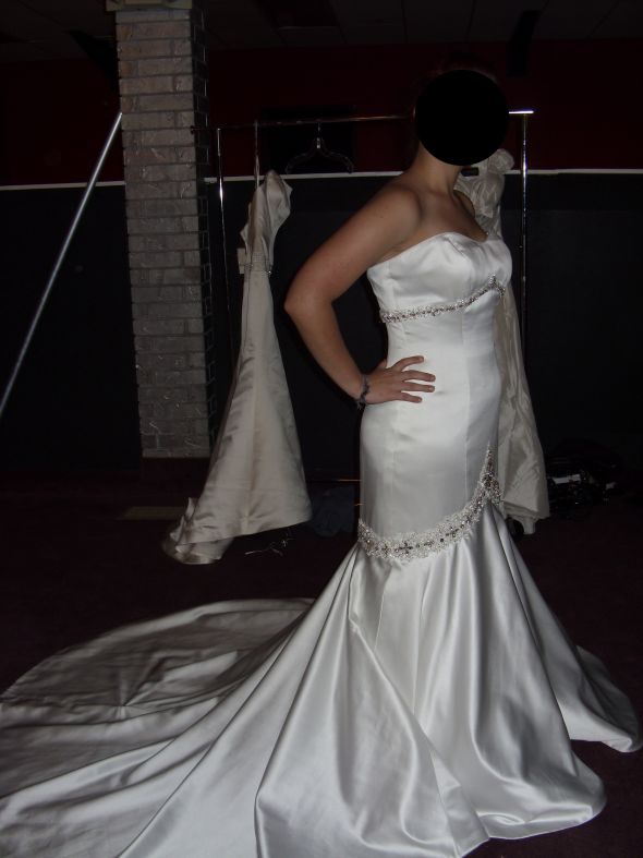 Show off your dress ladies!! I want to see your beautiful dresses! :  wedding My Dress