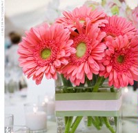 Share your Centerpieces! :  wedding Gerbera Daisies