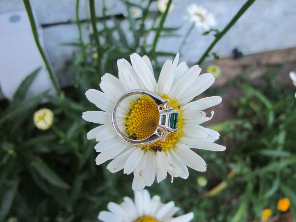 Three stone E-rings??? :  wedding rings engaged oval IMG 2276