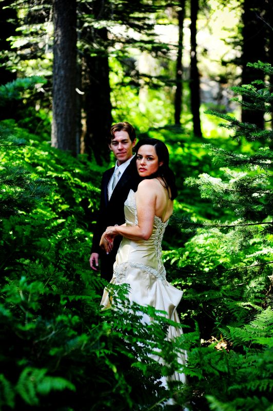 Bustle Advice :  wedding Bustle