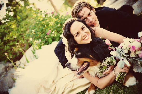 Pets in wedding :  wedding Us With Catch