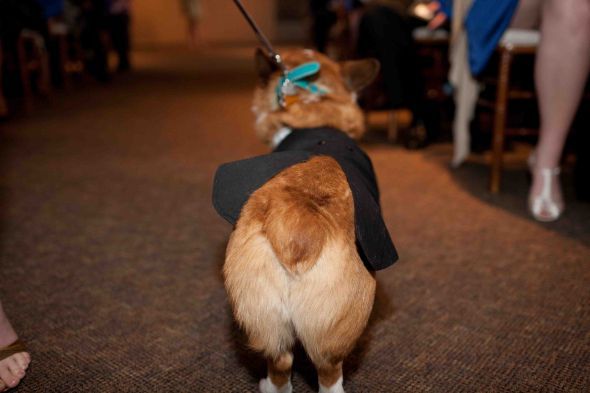 Completely non-dramatic goodbye :  wedding Nub