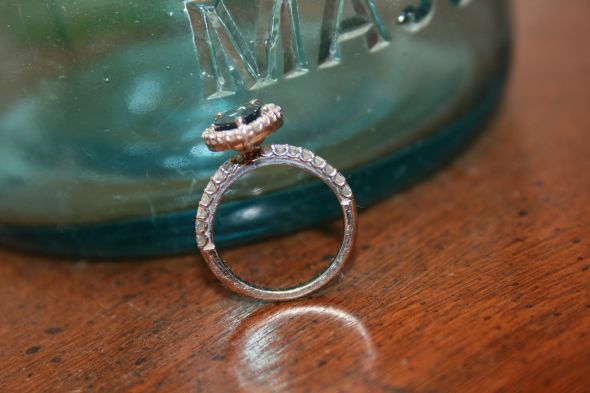 Miniature ring shoot. :  wedding IMG 9472