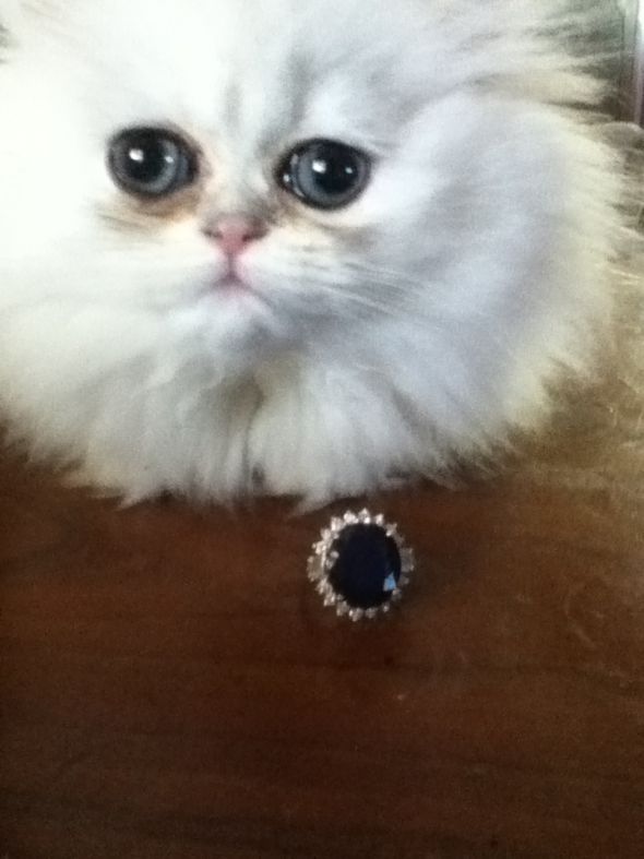 My moms upgraded engagement ring! : wedding Photo3