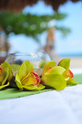 My Destination Wedding in Placencia, Belize (pics) : wedding DSC 3413
