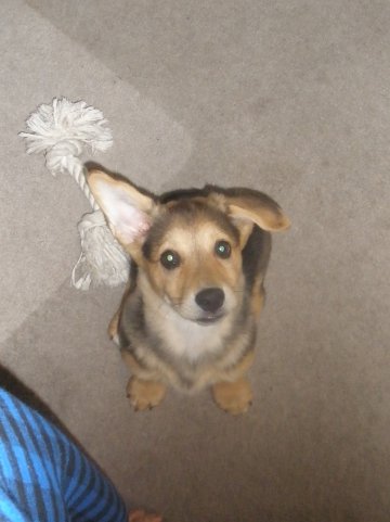 Ears popped!! :  wedding Eva And Ear