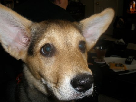 Ears popped!! :  wedding Ears Popped 2