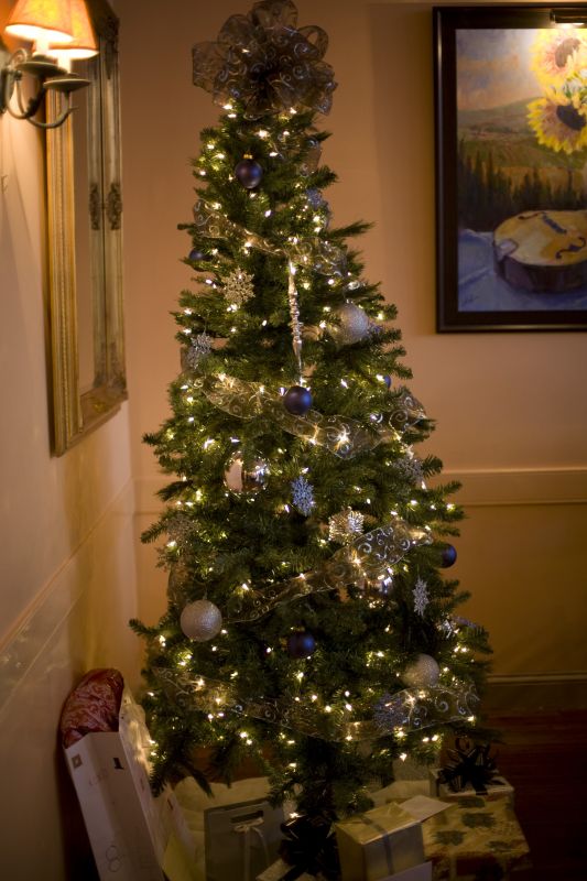 Pro Pics at last!!!!! (Married Dec. 09) : wedding winter wedding Gift Tree