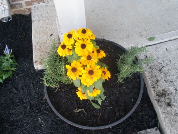 How does your garden grow? :  wedding garden Planter