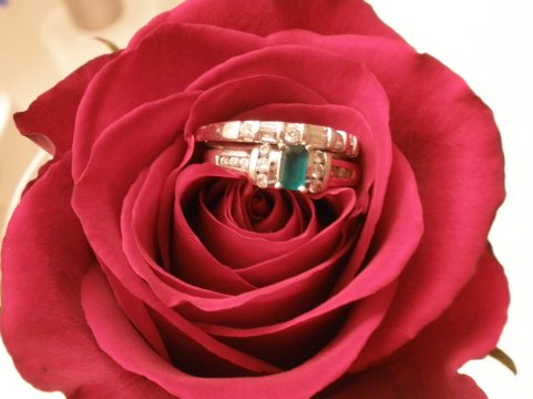 Let's see those rings :  wedding Ring Shot 1