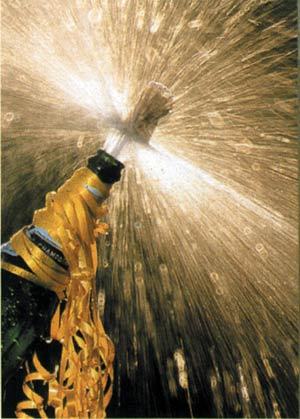 Happy (early) New Year Bees!! :  wedding Champagne2 1