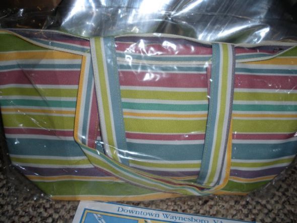 Multi-Color Biolage Bags - OOT Bags :  wedding bags purple green oot Bag In Plastic