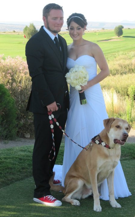 Dogs in the wedding: TIPS :  wedding dogs bark tips pets 63836 582137894113 28202684 33836667 7564271 N