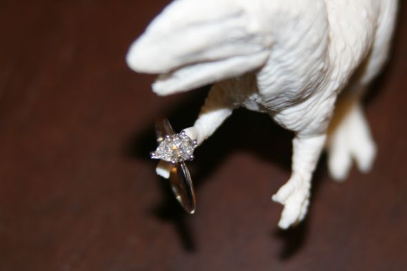 So... :  wedding DinoSAUR