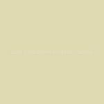 Brides (BEES) Whats Your Wedding Colors?! :  wedding flowers daisies color decor Sweet Caroline