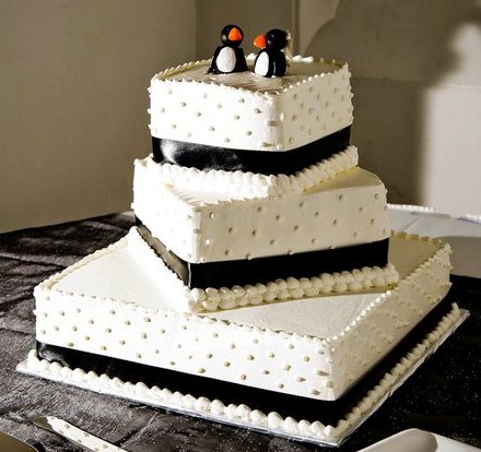 post a picture of your wedding cake/design :  wedding 35330 539861446818 64700088 31655550 1836938 N