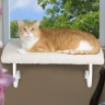 Cat window seat :  wedding Catledge
