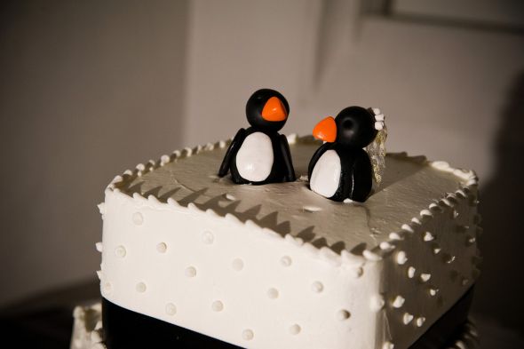 Wedding Cake Toppers :  wedding wedding cake topper nontraditional Ck0677