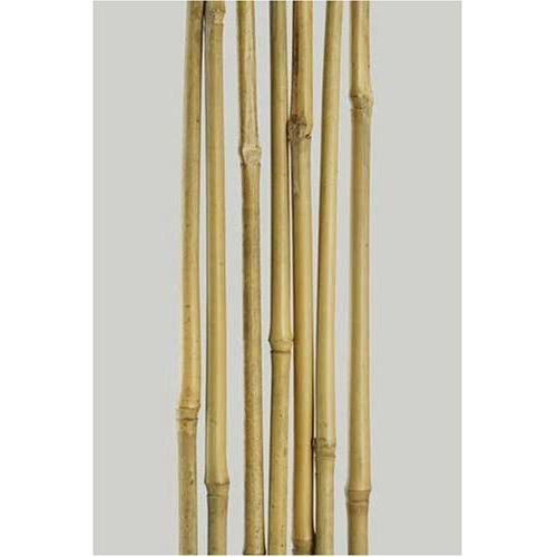 Look for bamboo garden stakes