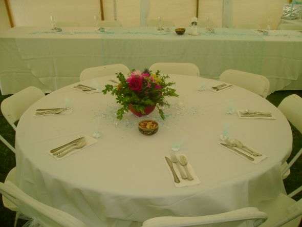 Please show me your centerpieces!! :  wedding centerpieces DSC02751