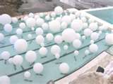 Help decorating a pool! :  wedding decor pool Thumbnail