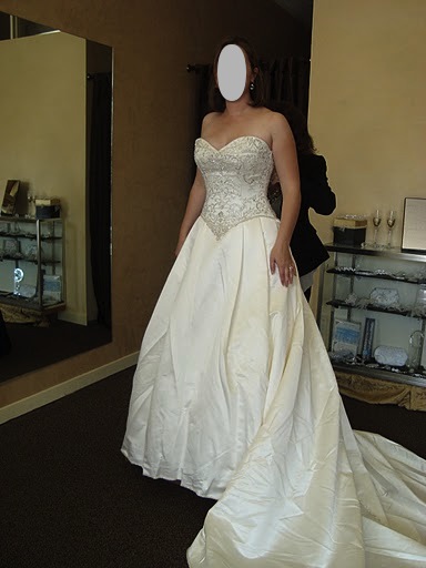 Dress 2012- the dress that ended all shopping :  wedding Divergirl
