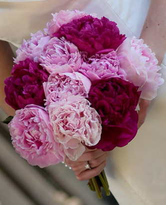 Peonies Wedding Bouquet. Pink Peony Bouquet : wedding