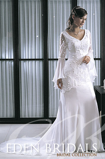 wedding dress with sleeves. Wow, a wedding dress with