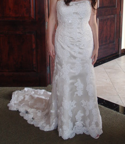 David's Bridal Gowns...who has one? : wedding davids bridal full figured 1 budget Screen Shot 2010 01 20 At 1.38.13 AM