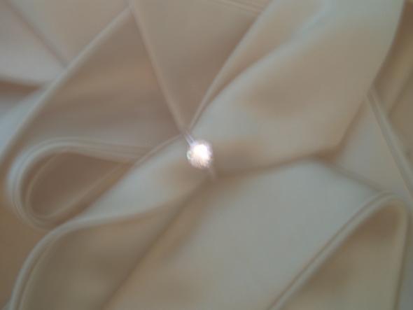So Excited! My FH is AMAZING! :  wedding wedding rings tiffanys budget Fall 2009 025