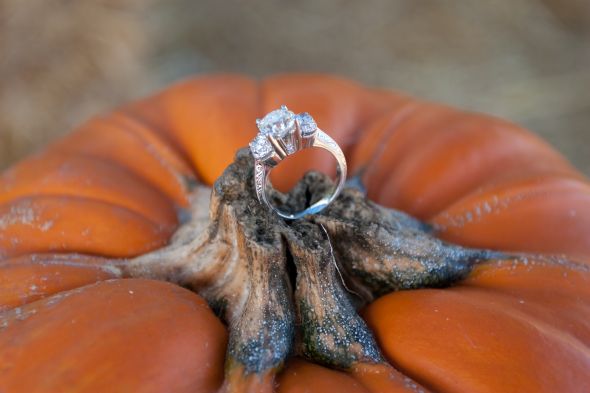 Any Bees with Tacori e-rings? : wedding tacori ering 696564276 YGN7H O