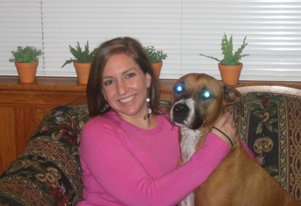 Show Me Your Pits! lol (PIT BULLS) :  wedding pets pit bull dog IMG 0534