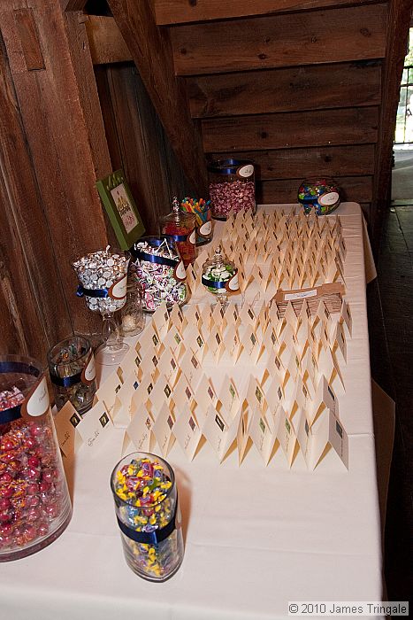 Pro Pics from our 10/9/10 :  wedding 309 Std