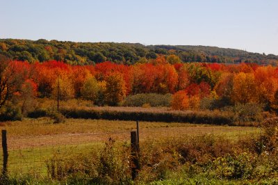 October brides - post your ceremony location :  wedding venue october The Barns Grounds