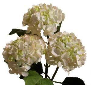 Real or Fake? : wedding silk flowers tacky flowers Hydrangeaswhite Silk300