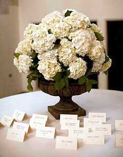 Flowers! : wedding Namecard Table