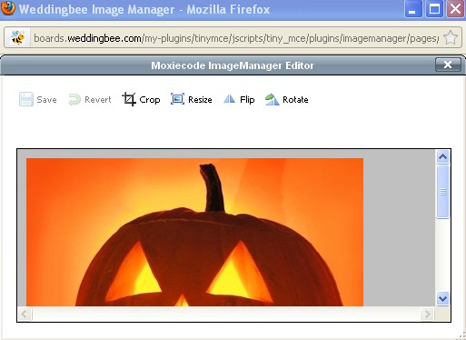 How to resize a photo! :  wedding wb tips resize ScreenHunter  2011 10 20 06.12 PM