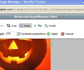 How to resize a photo! :  wedding wb tips resize ScreenHunter  2011 10 20 06.13 PM