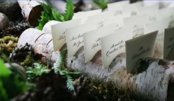 BIRCH LOG NAME PLACE CARD HOLDERS woodsie wedding wedding birch logs 