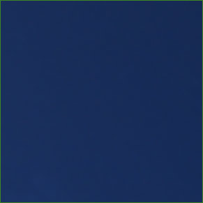 Brides (BEES) Whats Your Wedding Colors?! : wedding flowers daisies color decor Navyblue