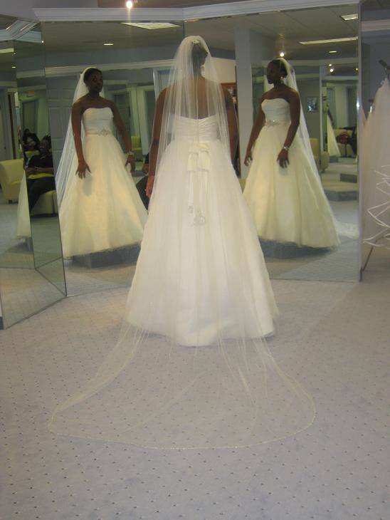 Any real Alfred Angelo Brides? :  wedding AA 2112 With Cathedral Veil