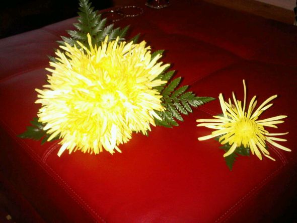 Help Please....what are these leaves called? :  wedding Flowers1