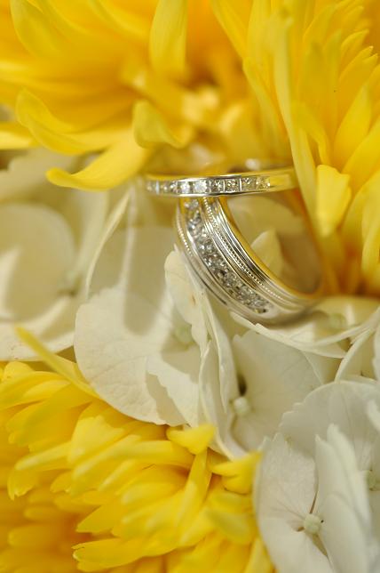 JamaicaBride's SISTER got married...9/18/2010 (photo heavy) :  wedding RingsinFlowers