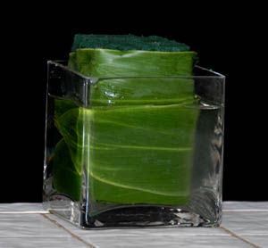 Hiding the Stems in a Clear Vase :  wedding Aspidistra Centerpiece