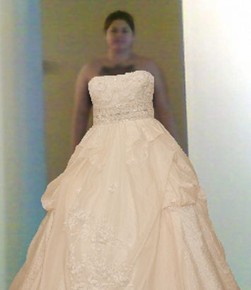 Virtual Wedding Dress Shopping wedding David Tutera