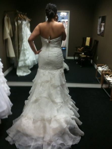 Fab dress with flowy ruffled skirt pics NEEDED. Im looking for the perfect one! :  wedding dress dresses ruffles flowy gown Photo1czxc