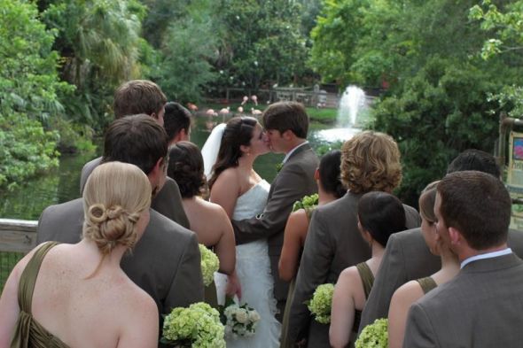 Just Married!  Pro Pics and Stories included! :  wedding brevard zoo ch515 fern green brown wedding reception clouds married Brevard Zoo Wedding Party Flamingos