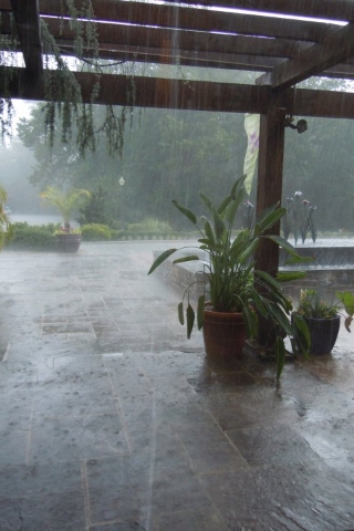 I'm married!!!!!  It was a blast! (photos) :  wedding Photo Rain
