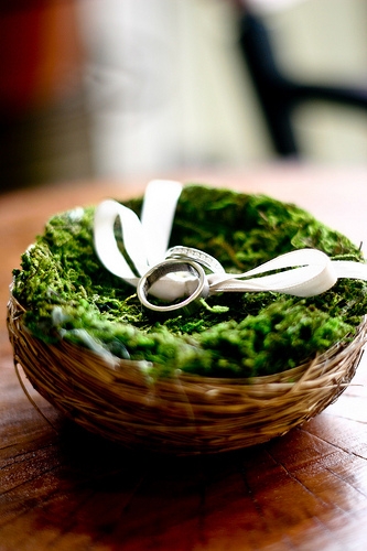 Some of my favs! :  wedding Ring Nest