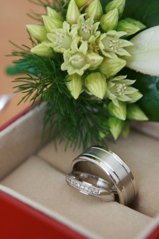 Our professional pics are in (Very Pic Heavy) :  wedding IMG 0066